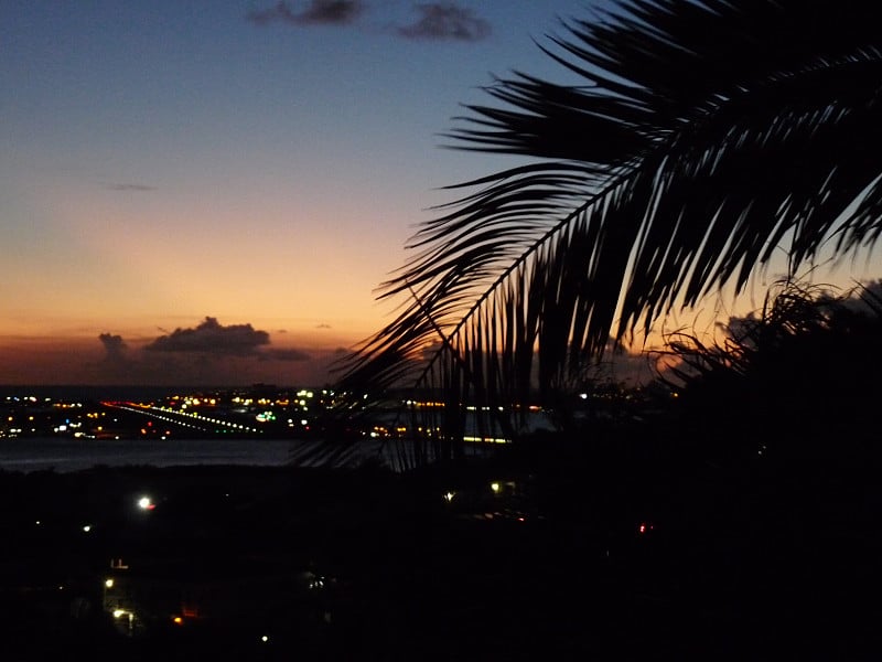 圣马丁机场跑道与棕榈叶的夜景