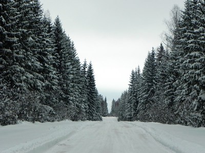 冬天白雪覆盖的道路。