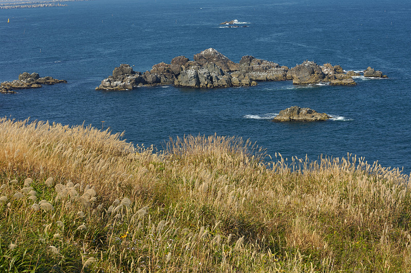 田中海岸