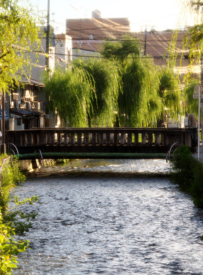 京都东山站附近白川河上的一座桥