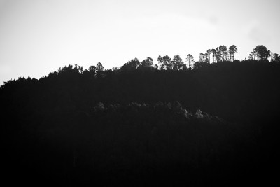黎明时分的高山，晴朗的天空和强烈的阳光，危地马拉高大的森林，乡村空间和自然的黑白摄影。