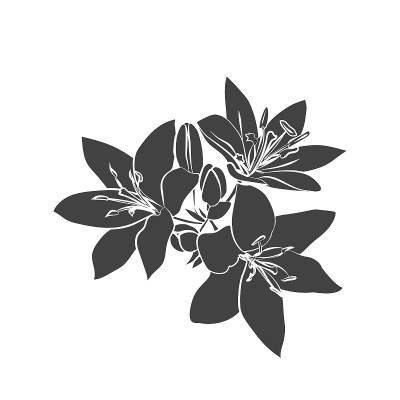 黑色轮廓莉莉。