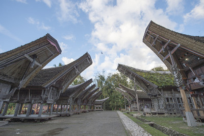 Tongkonan房屋，传统的Torajan建筑和房屋