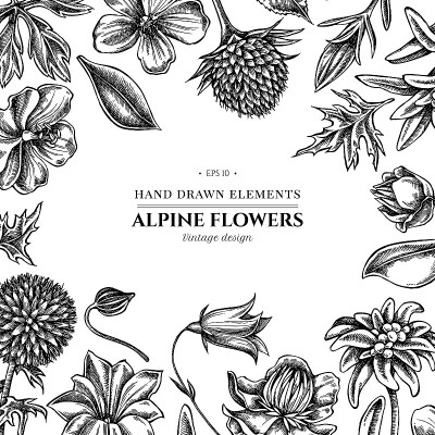 花图案有黑白风铃花、雪绒花、天竺葵、龙胆
