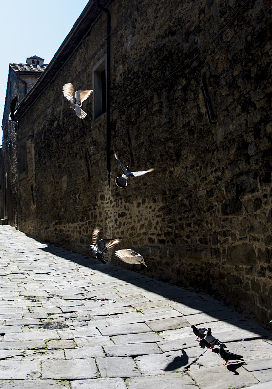 Cortona。托斯卡纳。意大利。欧洲。