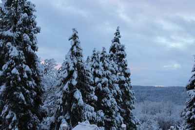 雪覆盖的属性