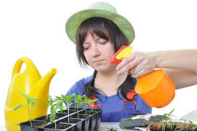 孤立的女性种植花园