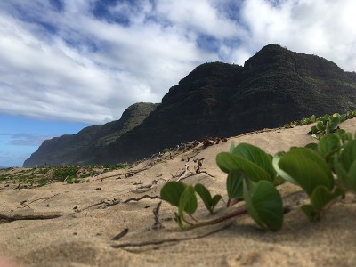 冬天的早晨，夏威夷考艾岛的波利黑尔海滩。