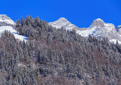 高山景观在初春