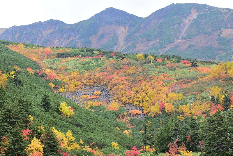 秋天的山面五彩缤纷