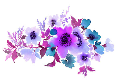 鲜花水彩插图