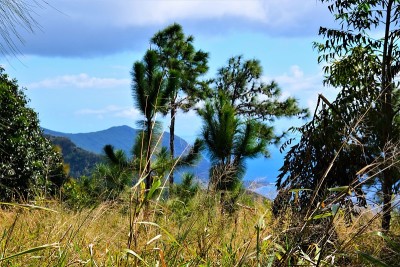 在瓦胡岛的Waianae Mtns Waianae徒步旅行，可以看到Waianae Mtn山脉，背风