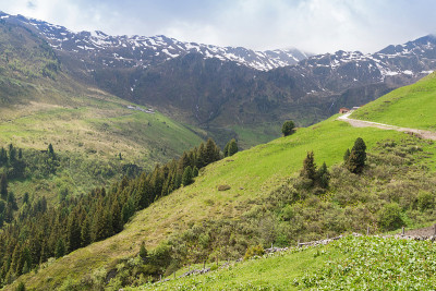 在齐勒塔尔山谷，有风的道路被积雪的山脉包围着
