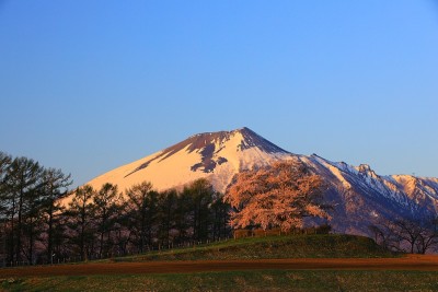 岩手县蓝天和樱花