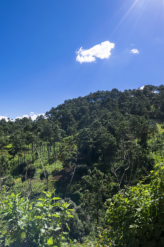 危地马拉的山区，森林地区和可持续作物地区，氧气和纯净空气的来源，水的来源和保护未来。