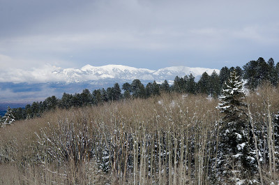 森林后面的雪山