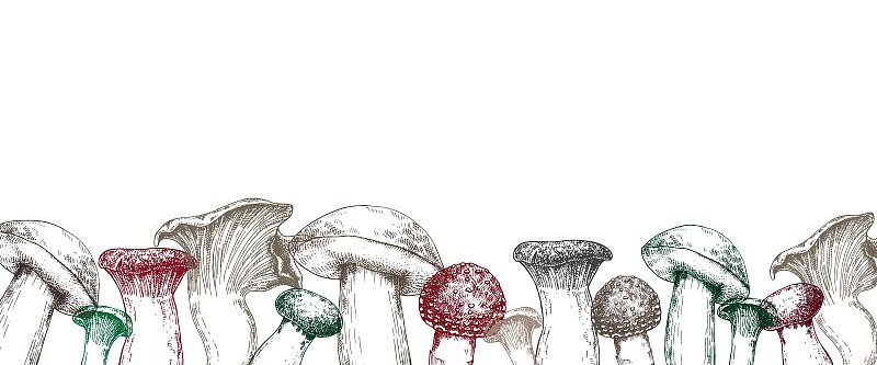 矢量插图，边界与蘑菇。复古风格的蘑菇，白色背景上的图形孤立
