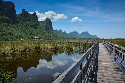 木桥具有山湖景观