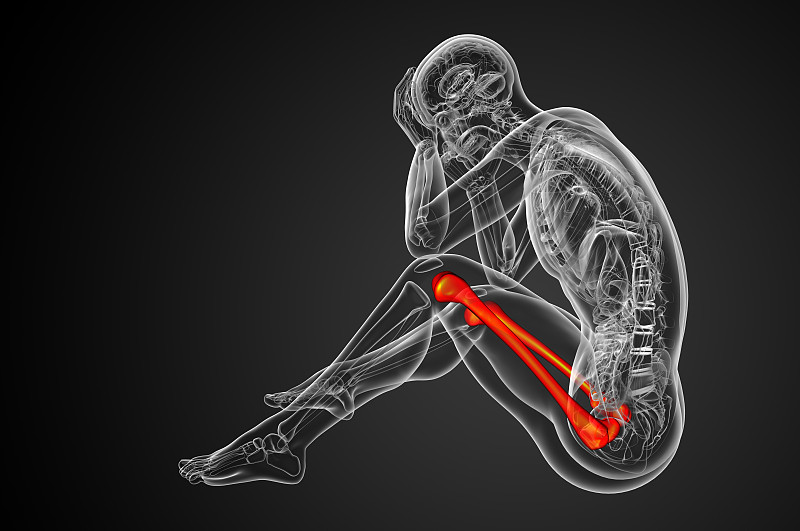 股骨的3d渲染医学插图