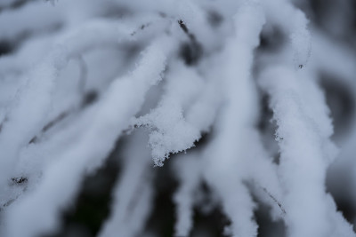 雪抽象。