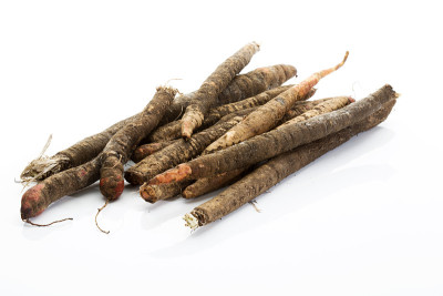 白色背景上的黑色Salsify