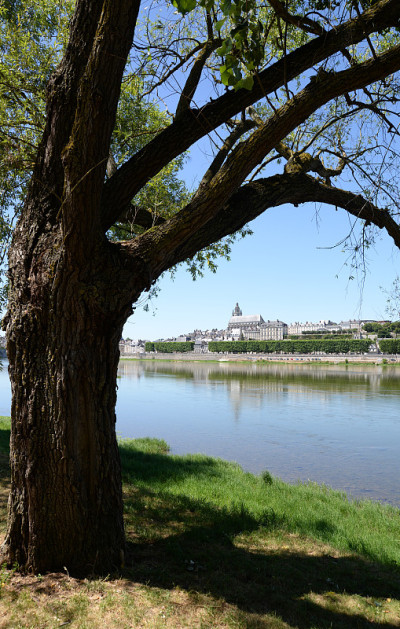 山谷里的Blois