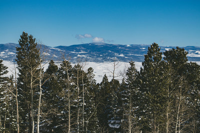 松树，雪谷，远山