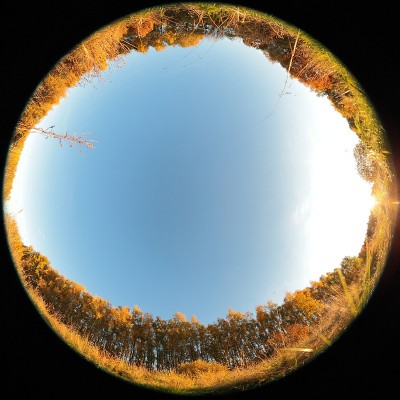 秋天。在天空。用鱼眼镜头拍摄，以达到特殊的平板效果。新鲜的空气，清澈的蓝天和初秋的感觉。