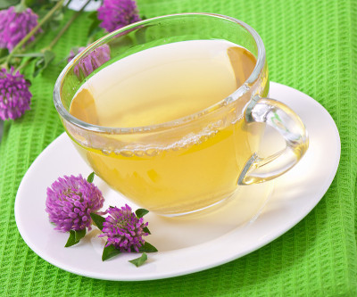 草本茶三叶草