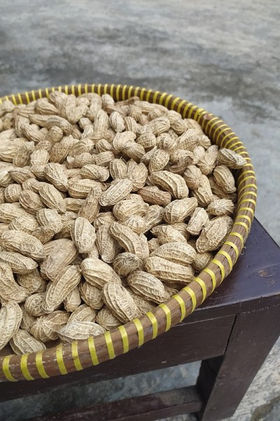 花生放在竹编托盘里