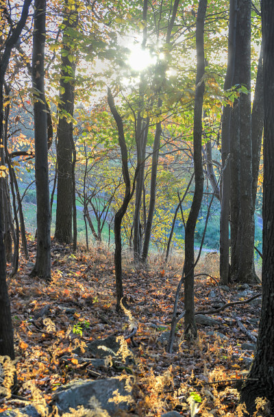 Mohonk保存
