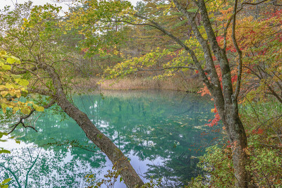 秋色湖岸