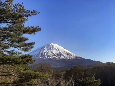 富士山和川口湖