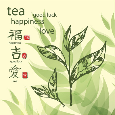 背景与茶叶。手绘。