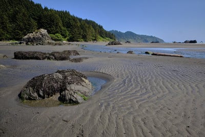 低潮时，鲸鱼头海滩上的波纹沙、海藻和池塘暴露出来