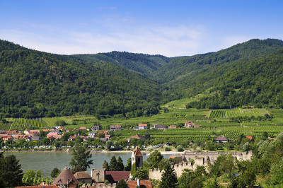 从Durnstein到Rossatz，瓦肖，下奥地利，奥地利。