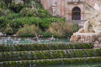 Parc de la Ciutadella 喷泉