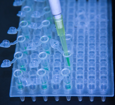 一步PCR