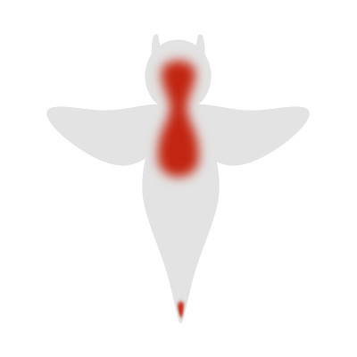 Clione