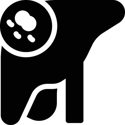 肝