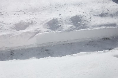 一场暴风雪后，大雪覆盖的院子里铺着铁铲，供送货人员使用