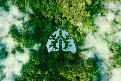 这是一幅地球之肺的比喻图。这是一个图标，在一个肺形状的池塘在一个野生的，原始的和未被开发的森林的中心