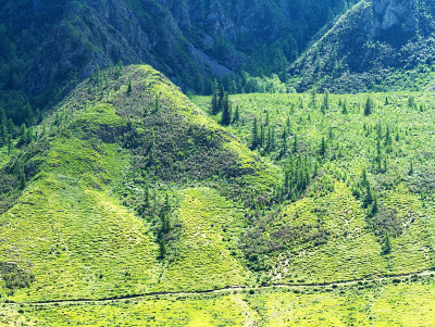 山区森林草地