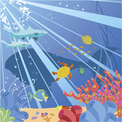海洋生物