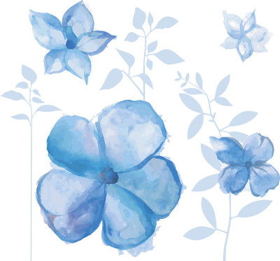 紫色的花