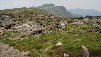 美国自然/落基山国家公园。土拨鼠。