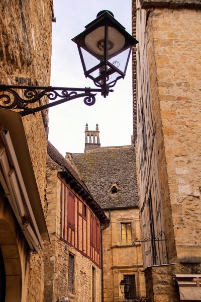 狗狗Sarlat