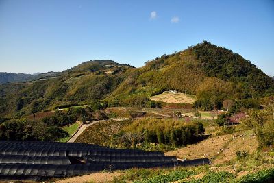 山景观