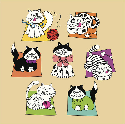 把猫