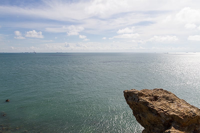 海上的海鸥。